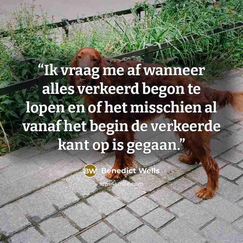 “Ik vraag me af wanneer alles verkeerd begon te lopen en of het misschien al vanaf het begin de verkeerde kant op is gegaan.” quote by Benedict Wells