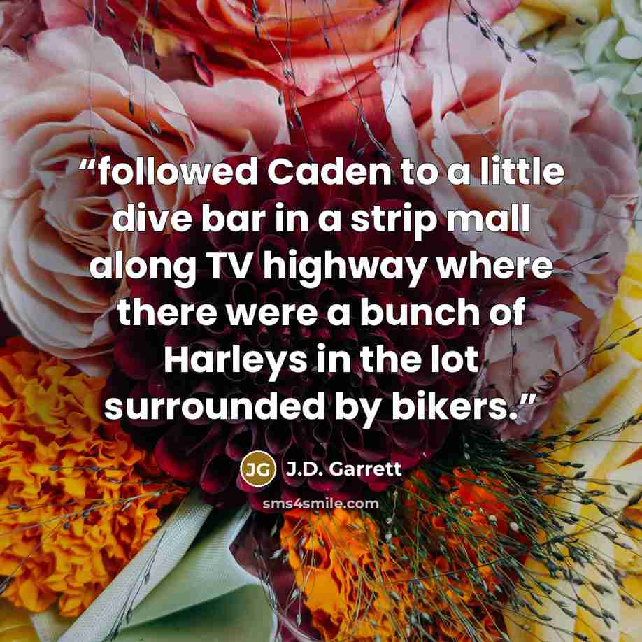 “followed Caden to a little dive bar in a strip mall along TV highway where there were a bunch of Harleys in the lot surrounded by bikers.” quote by J.D. Garrett