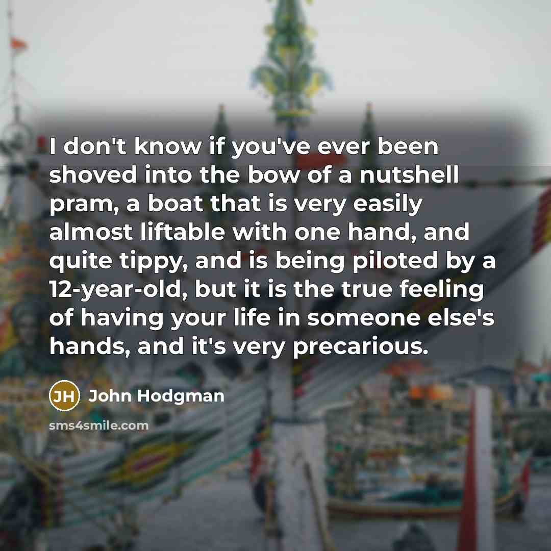 “I don't know if you've ever been shoved into the…” quote by John Hodgman