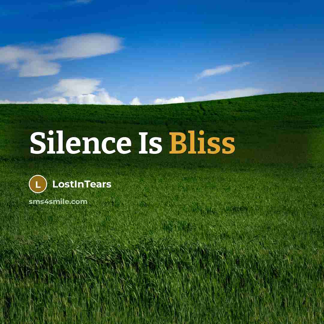 “Silence Is Bliss…” quote by LostInTears