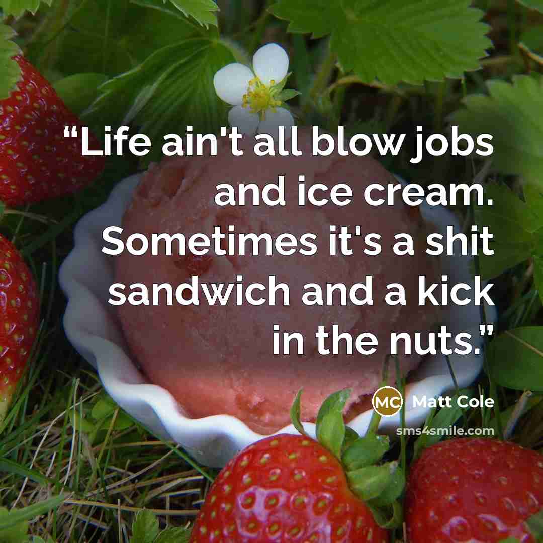“Life ain't all blow jobs and ice cream. Sometimes it's a shit sandwich and a kick in the nuts.” quote by Matt Cole
