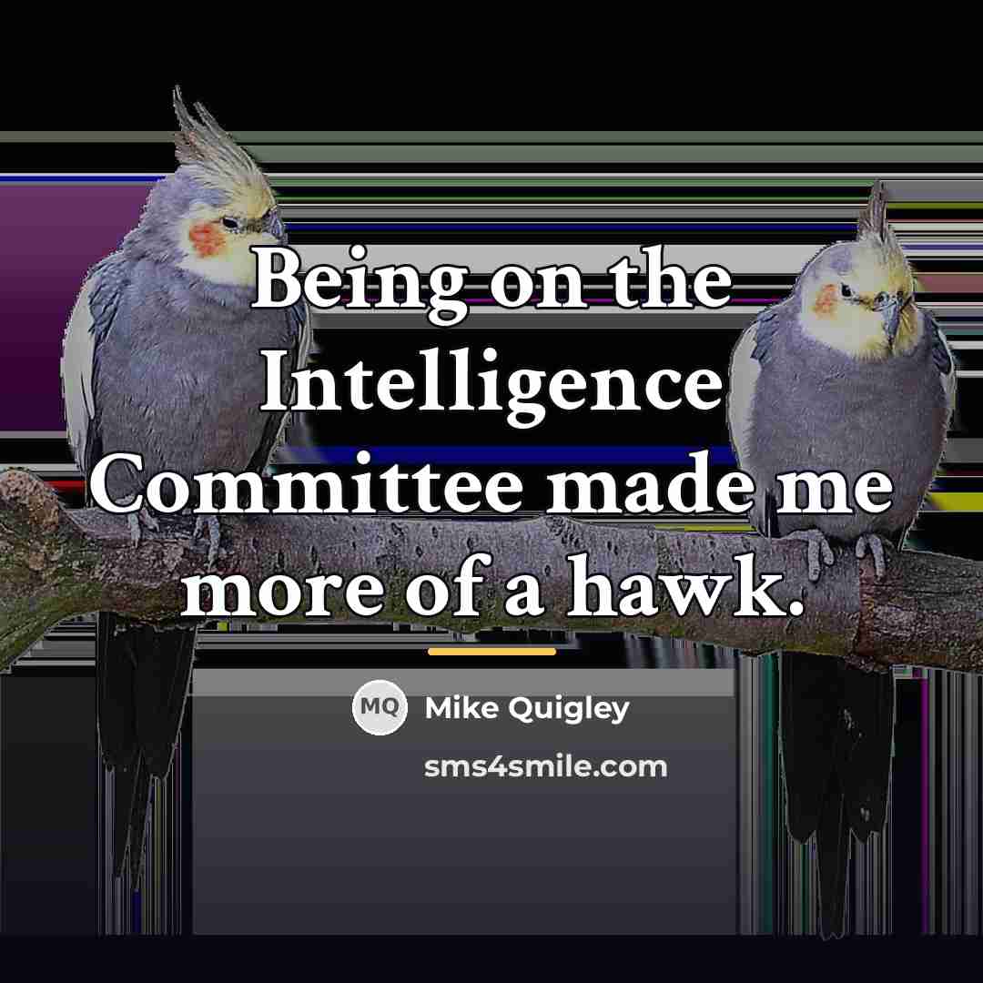 “Being on the Intelligence Committee made me more of a…” quote by Mike Quigley