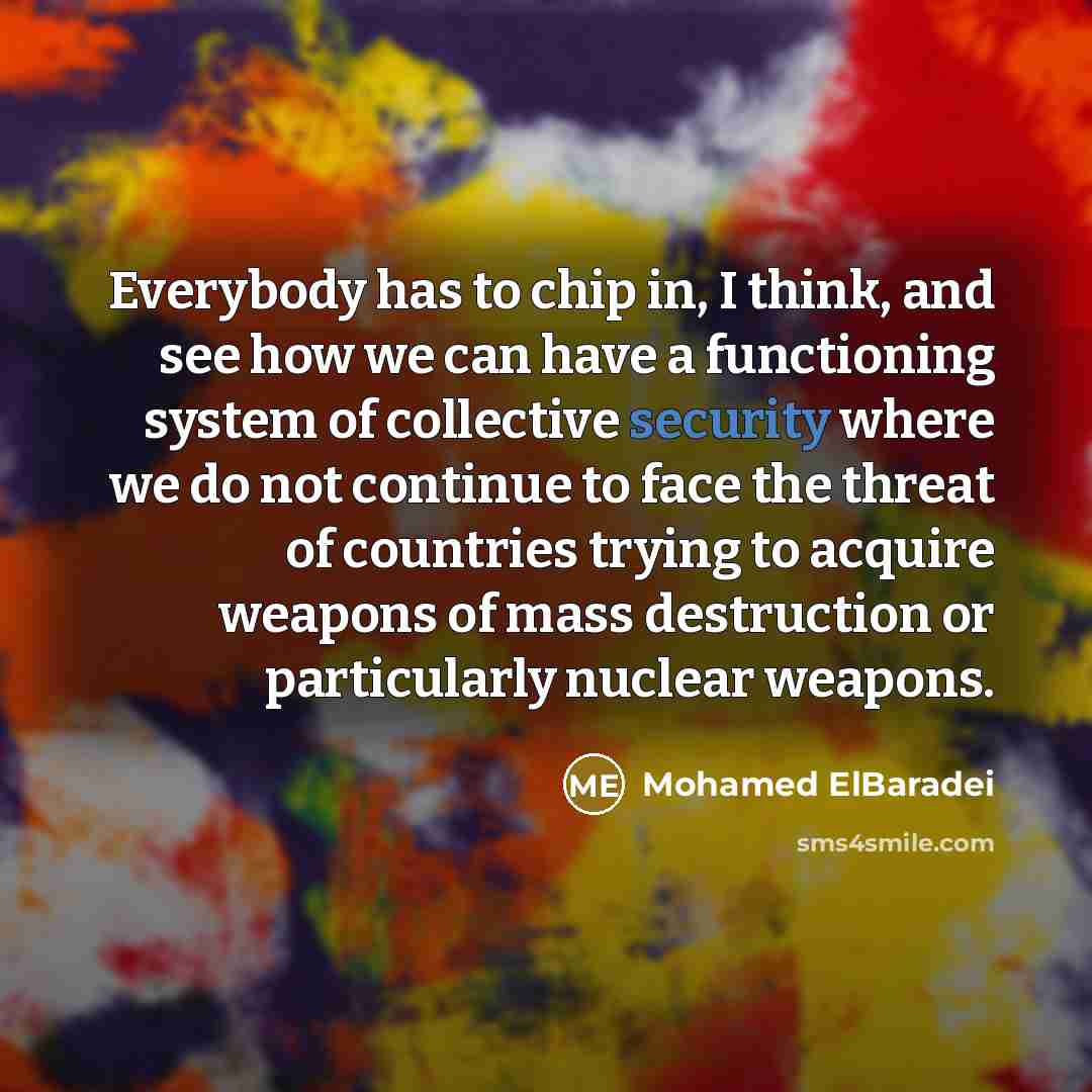“Everybody has to chip in, I think, and see how…” quote by Mohamed ElBaradei