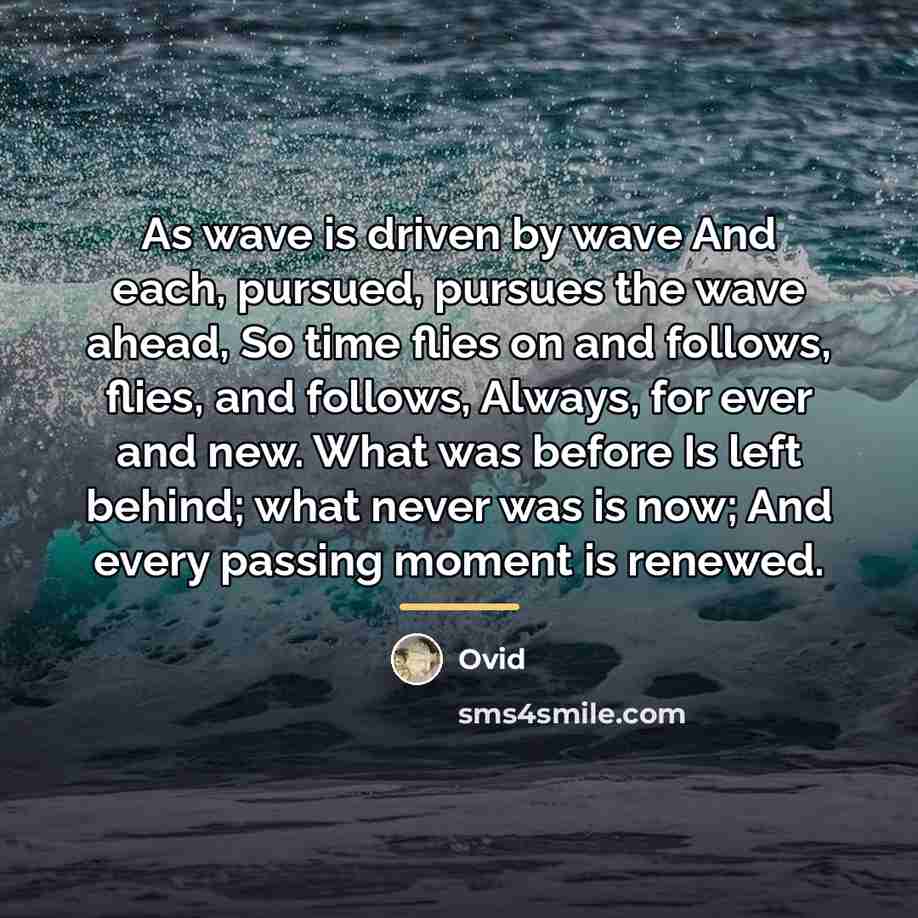 “As wave is driven by wave And each, pursued, pursues…” quote by Ovid