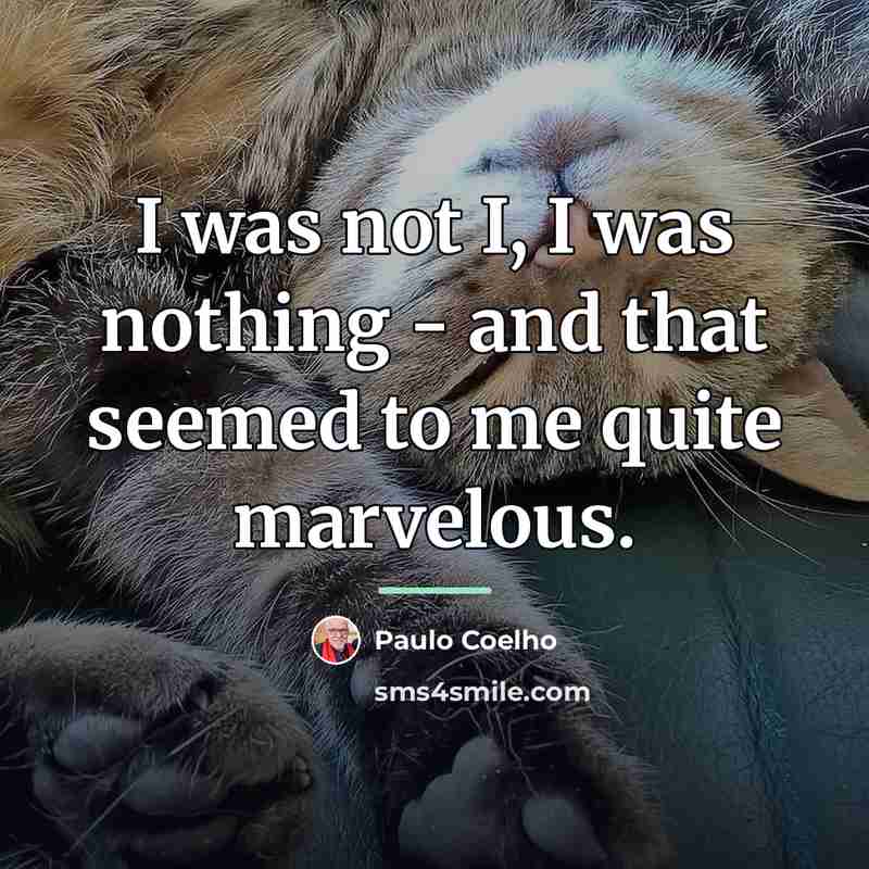 “I was not I, I was nothing - and that…” quote by Paulo Coelho