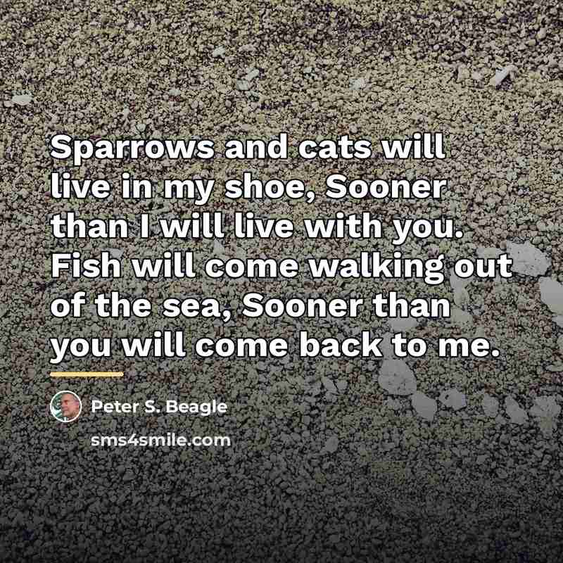“Sparrows and cats will live in my shoe, Sooner than…” quote by Peter S. Beagle