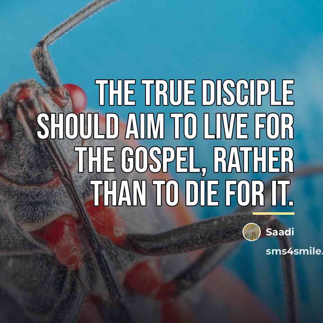 “The true disciple should aim to live for the gospel,…” quote by Saadi