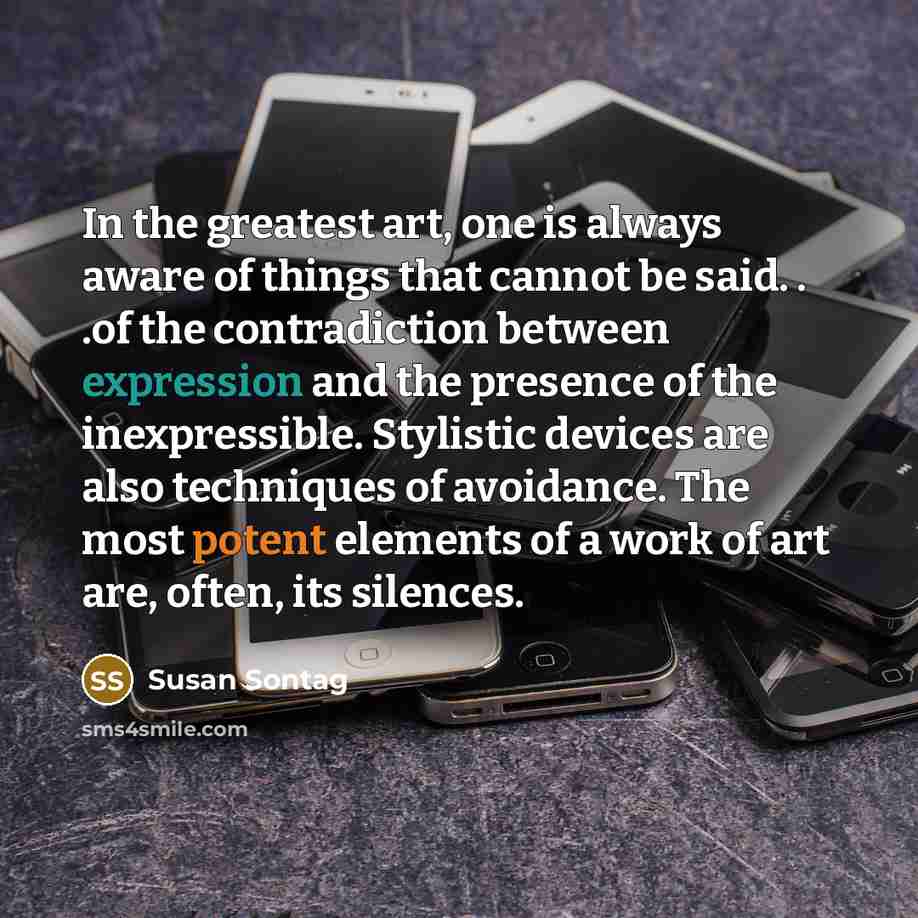 “In the greatest art, one is always aware of things…” quote by Susan Sontag