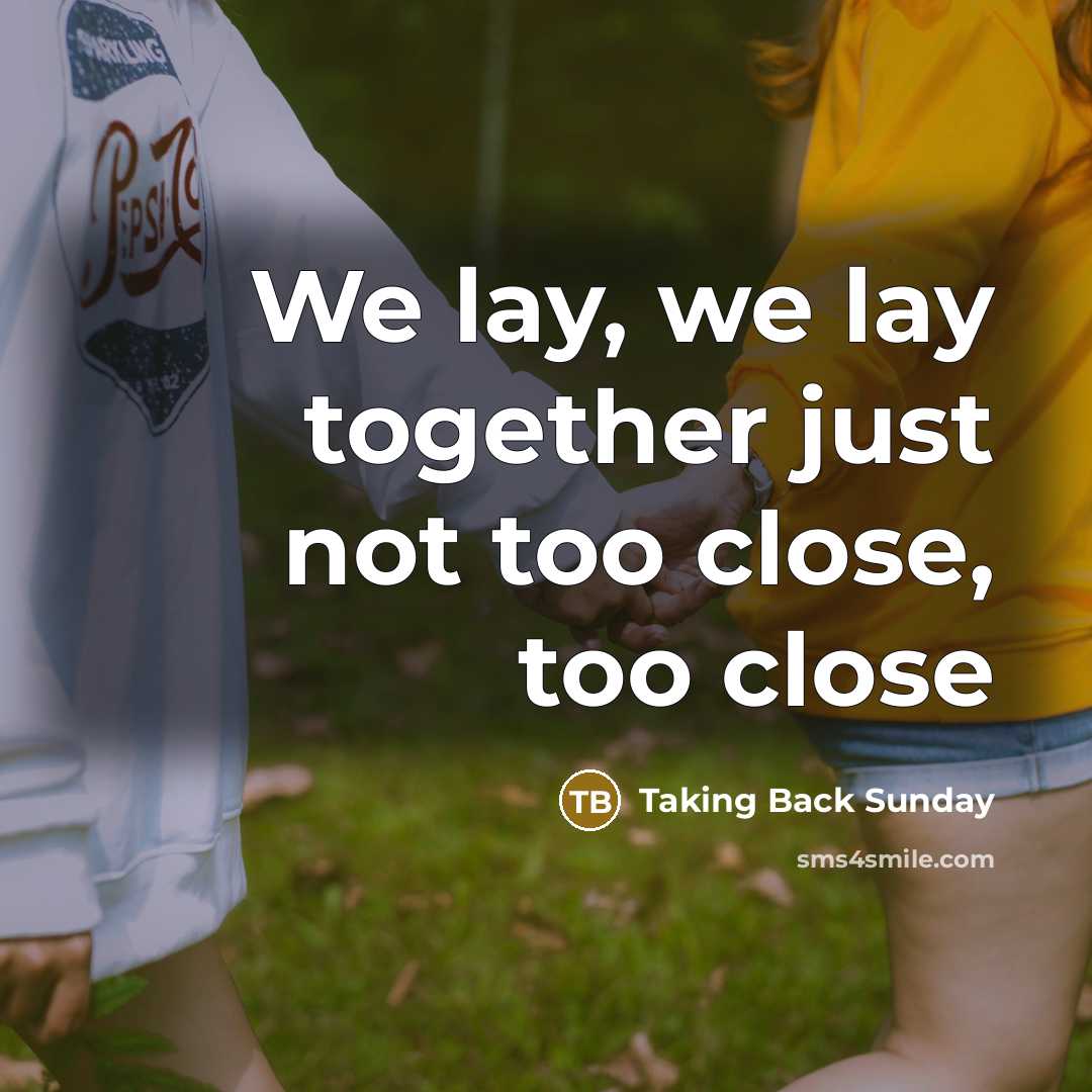 “We lay, we lay together just not too close, too…” quote by Taking Back Sunday
