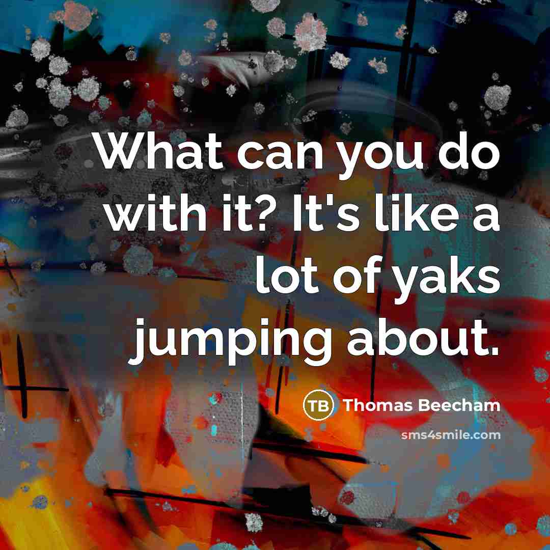 “What can you do with it? It's like a lot…” quote by Thomas Beecham