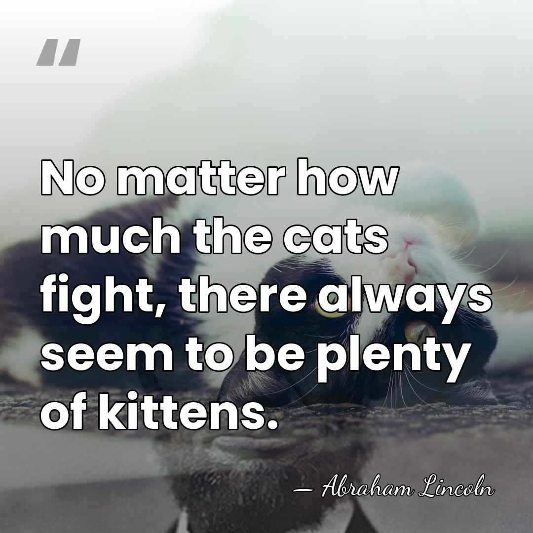 No matter how much the cats fight, there always seem to be&hellip; - Abraham Lincoln