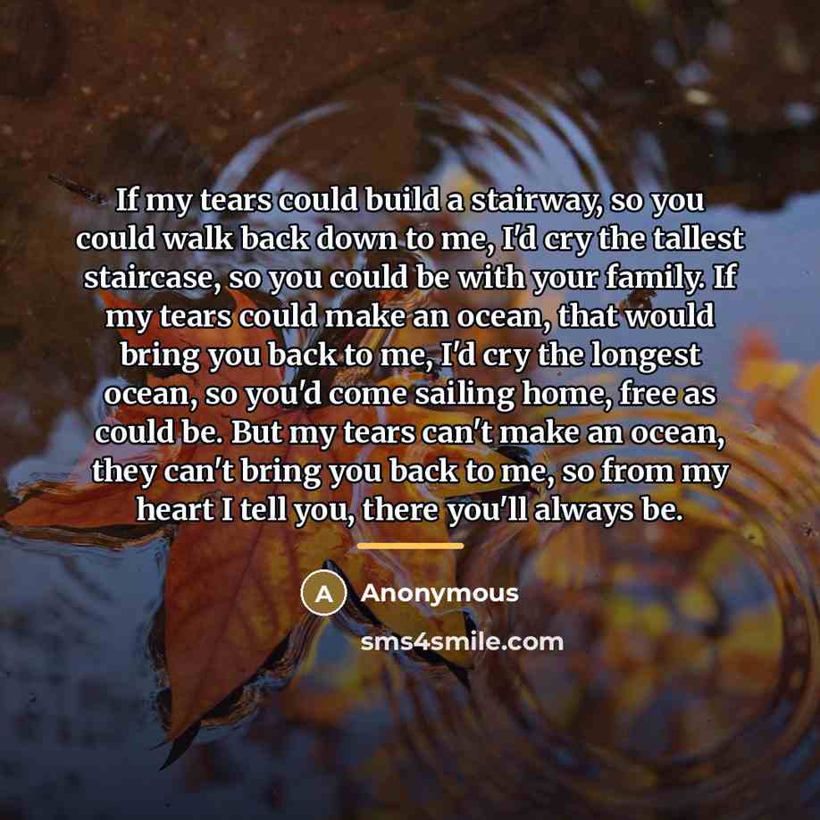 “If my tears could build a stairway, so you could…” quote by Anonymous