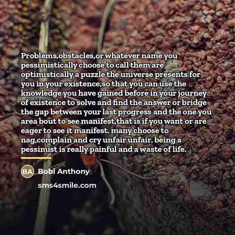 “Problems,obstacles,or whatever name you pessimistically choose to call them are…” quote by Bobi Anthony