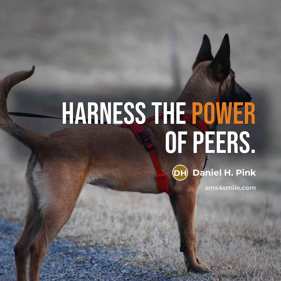 “Harness the power of peers.…” quote by Daniel H. Pink