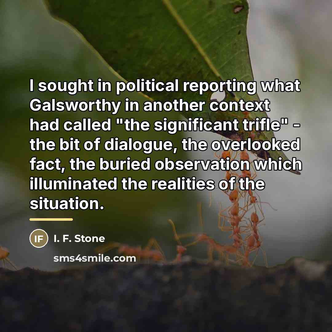 “I sought in political reporting what Galsworthy in another context…” quote by I. F. Stone
