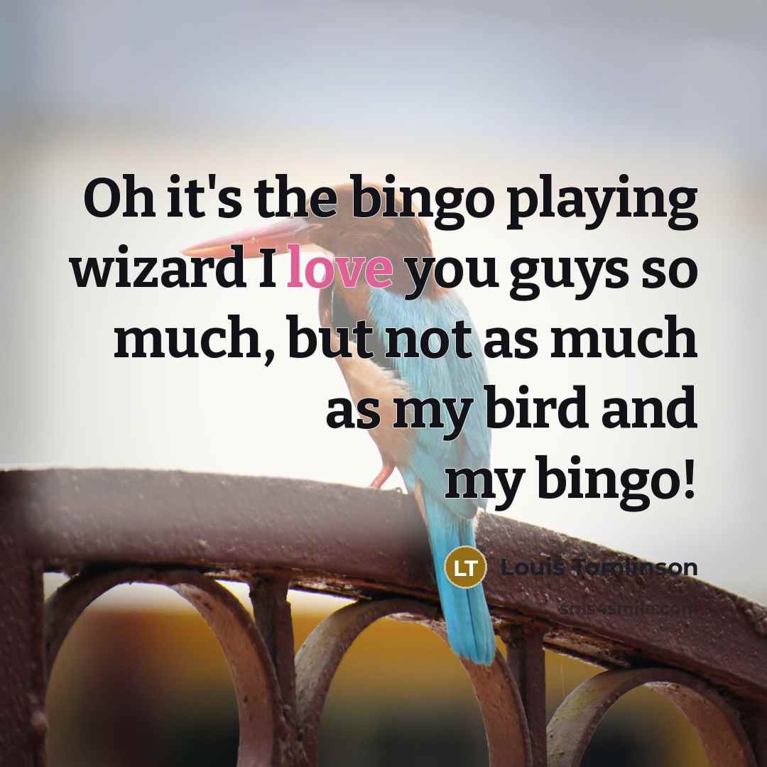 “Oh it's the bingo playing wizard I love you guys…” quote by Louis Tomlinson