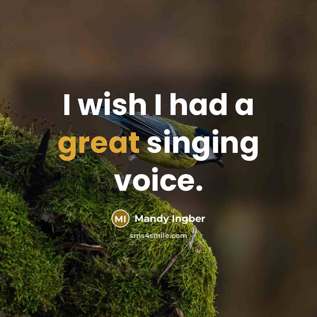 “I wish I had a great singing voice.…” quote by Mandy Ingber