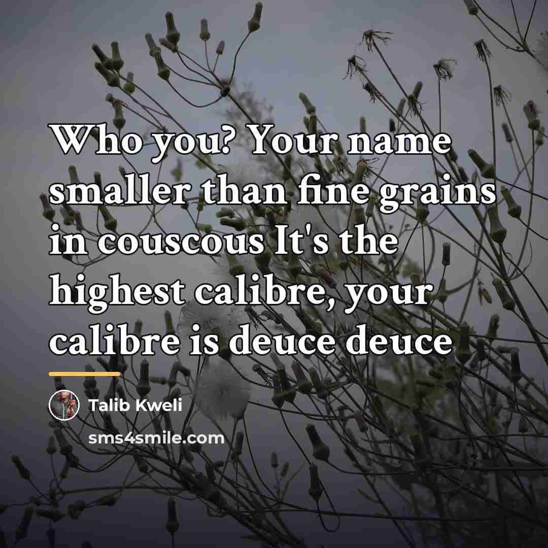“Who you? Your name smaller than fine grains in couscous…” quote by Talib Kweli