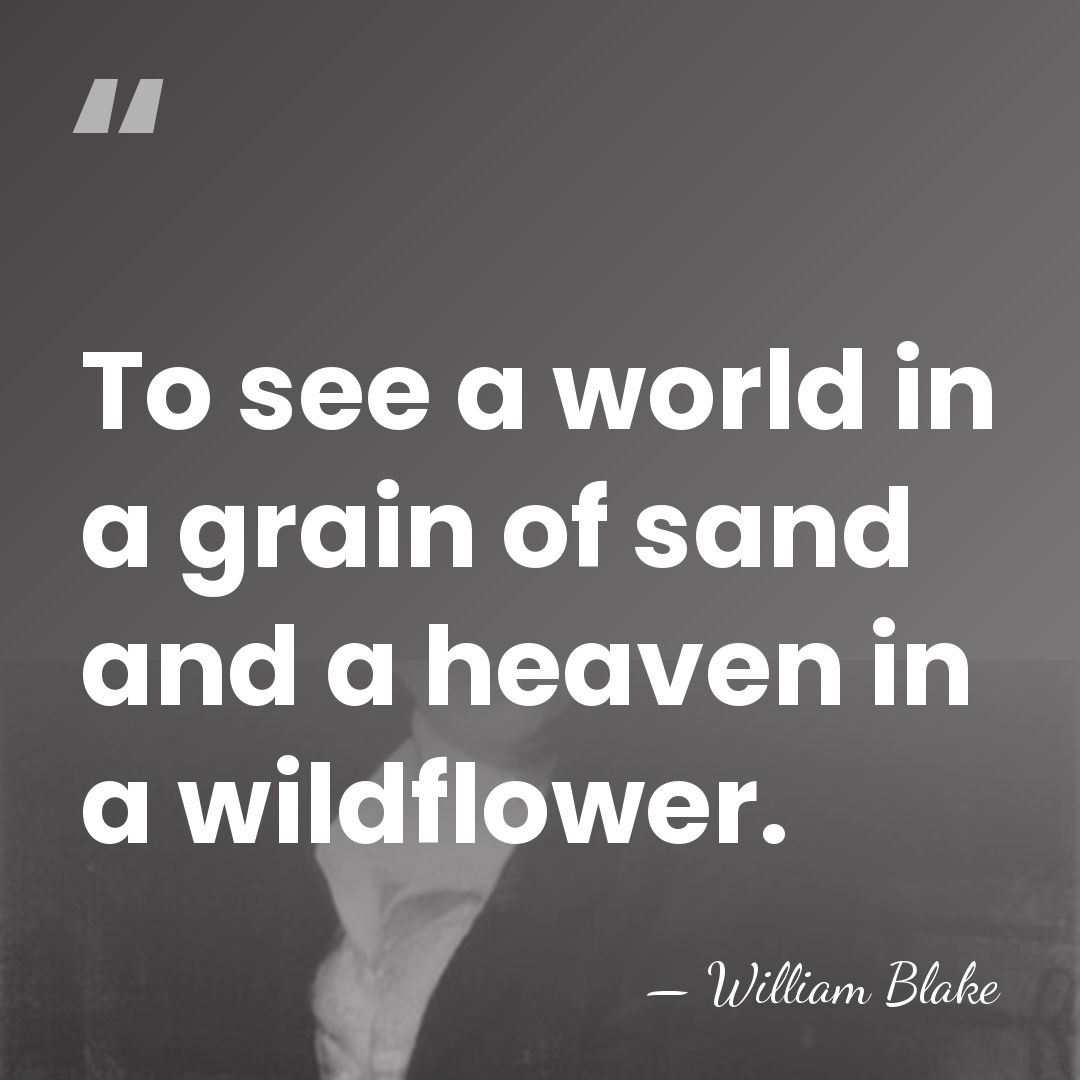 To see a world in a grain of sand and a heaven&hellip; - William Blake