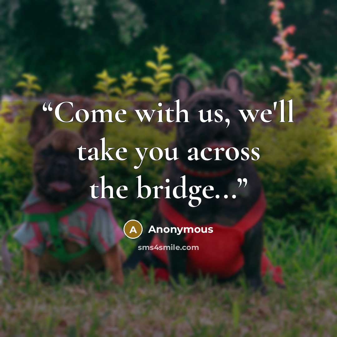 “Come with us, we'll take you across the bridge...” quote by Anonymous