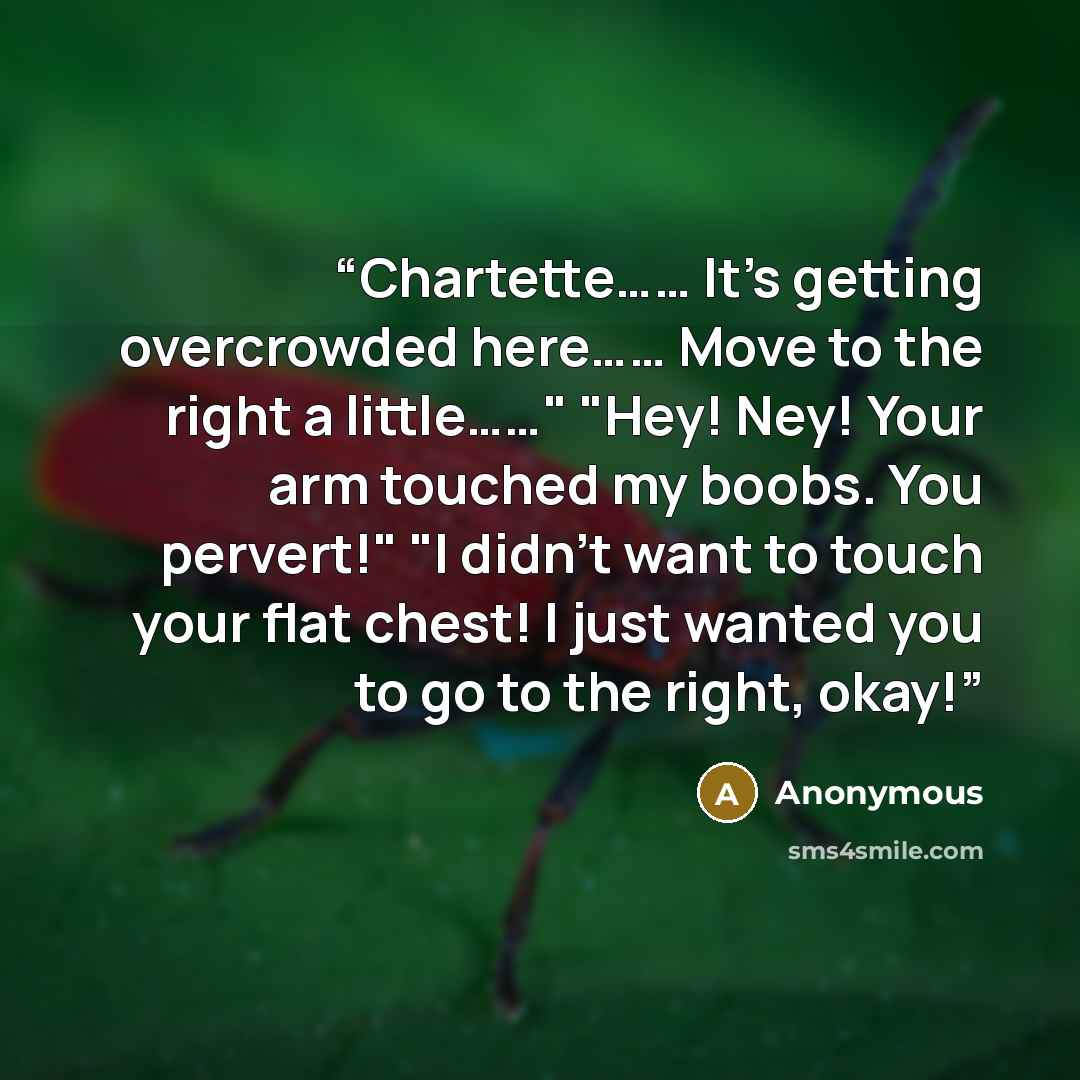 “Chartette…… It’s getting overcrowded here…… Move to the right a little……" "Hey! Ney! Your arm touched my boobs. You pervert!" "I didn’t want to touch your flat chest! I just wanted you to go to the right, okay!” quote by Anonymous