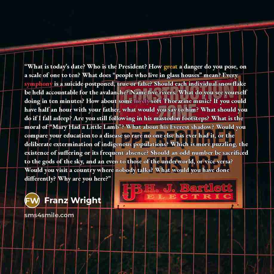 “What is today’s date? Who is the President? How great a danger do you pose, on a scale of one to ten? What does “people who live in glass houses” mean? Every symphony is a suicide postponed, true or false? Should each individual snowflake be held accountable for the avalanche? Name five rivers…” quote by Franz Wright