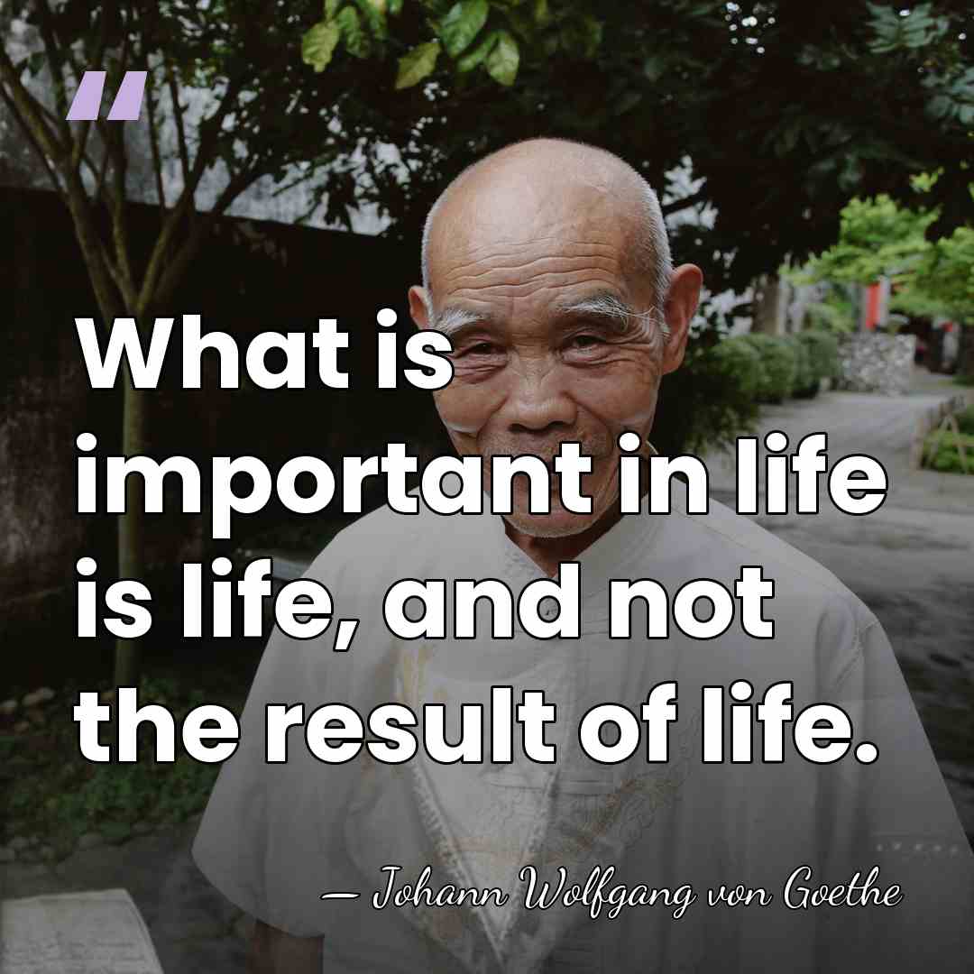 What is important in life is life, and not the result of&hellip; - Johann Wolfgang von Goethe