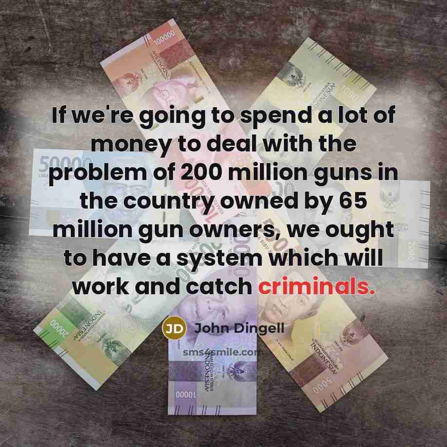 “If we're going to spend a lot of money to deal with the problem of 200 million guns in the country owned by 65 million gun owners, we ought to have a system which will work and catch criminals.” quote by John Dingell