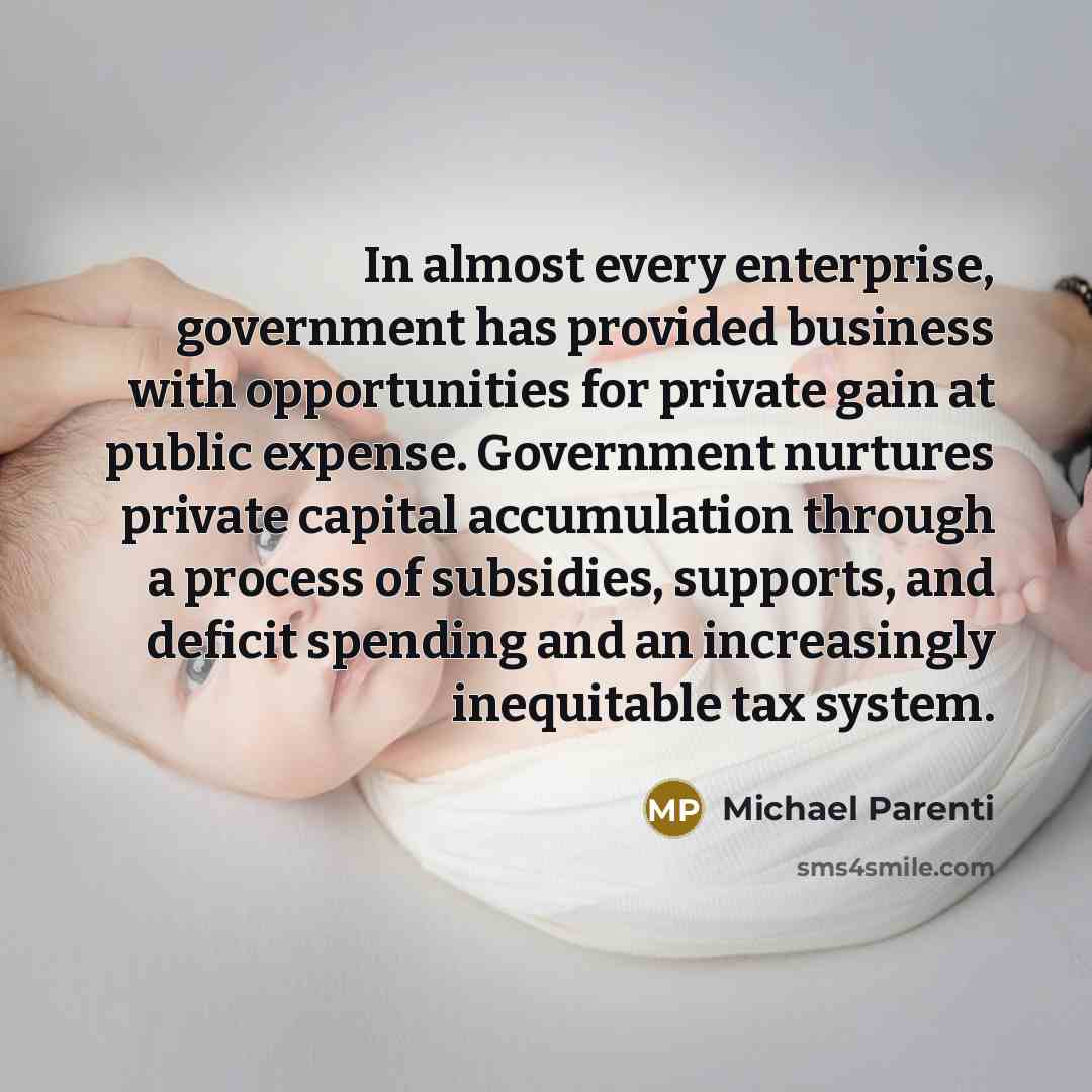 “In almost every enterprise, government has provided business with opportunities…” quote by Michael Parenti