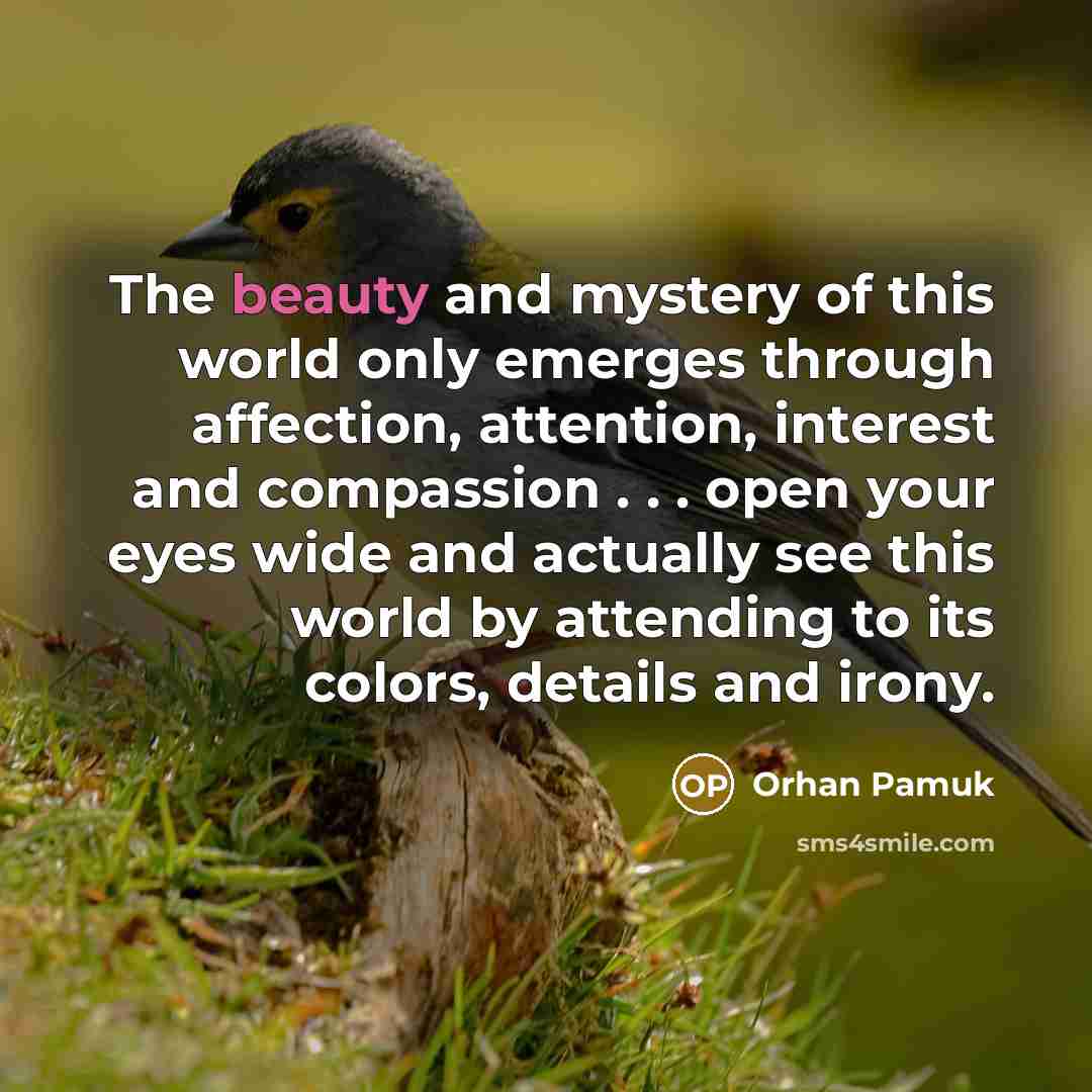 “The beauty and mystery of this world only emerges through…” quote by Orhan Pamuk