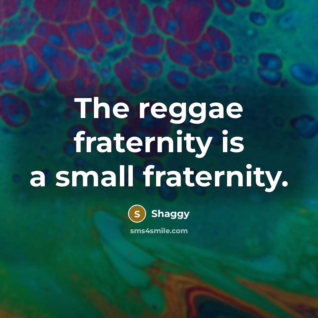 “The reggae fraternity is a small fraternity.…” quote by Shaggy