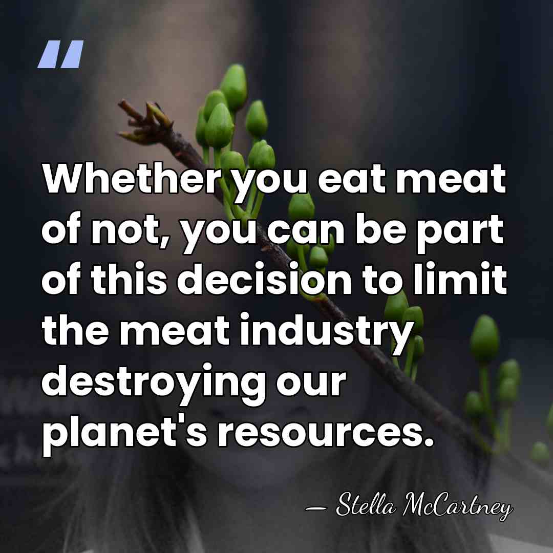 Whether you eat meat of not, you can be part of this&hellip; - Stella McCartney