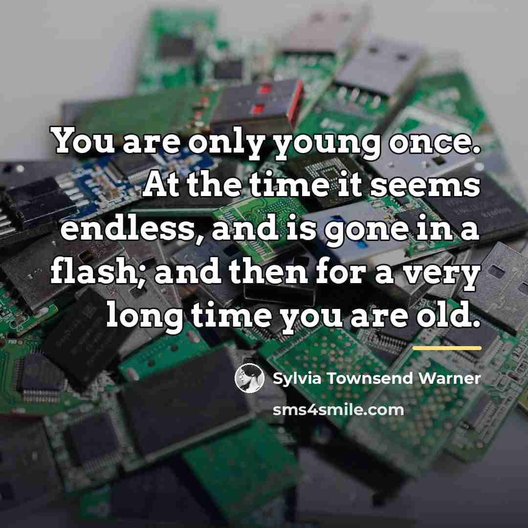 “You are only young once. At the time it seems…” quote by Sylvia Townsend Warner
