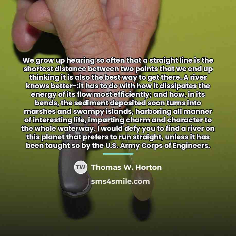 “We grow up hearing so often that a straight line…” quote by Thomas W. Horton