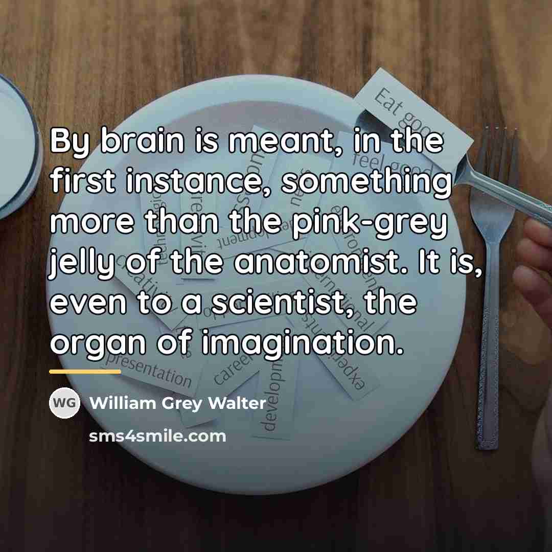 “By brain is meant, in the first instance, something more…” quote by William Grey Walter