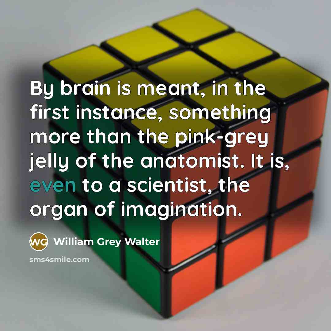 “By brain is meant, in the first instance, something more than the pink-grey jelly of the anatomist. It is, even to a scientist, the organ of imagination.” quote by William Grey Walter