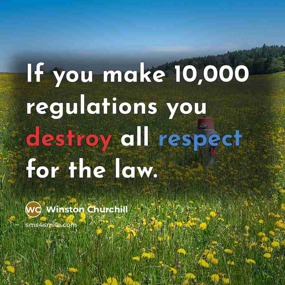 “If you make 10,000 regulations you destroy all respect for the law.” quote by Winston Churchill