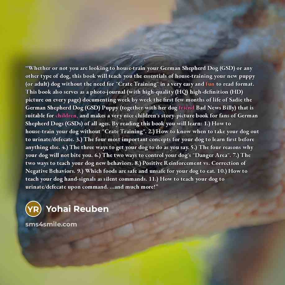 “Whether or not you are looking to house-train your German Shepherd Dog (GSD) or any other type of dog, this book will teach you the essentials of house-training your new puppy (or adult) dog without the need for "Crate Training" in a very easy and fun to read format. This book also serves as a…” quote by Yohai Reuben