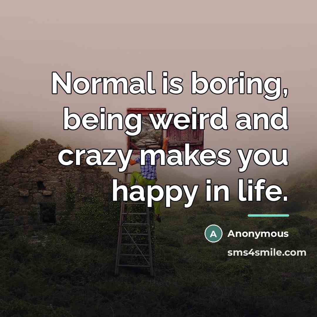 “Normal is boring, being weird and crazy makes you happy…” quote by Anonymous