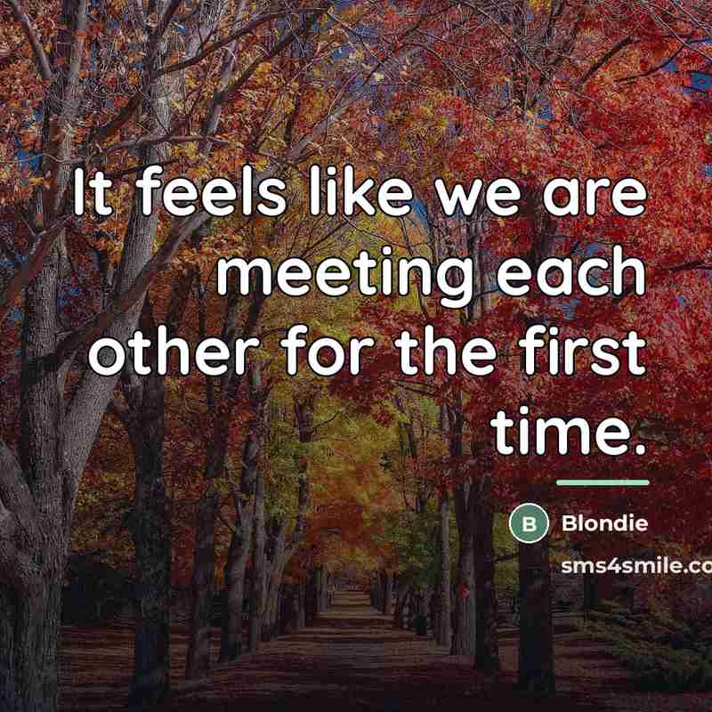 “It feels like we are meeting each other for the…” quote by Blondie