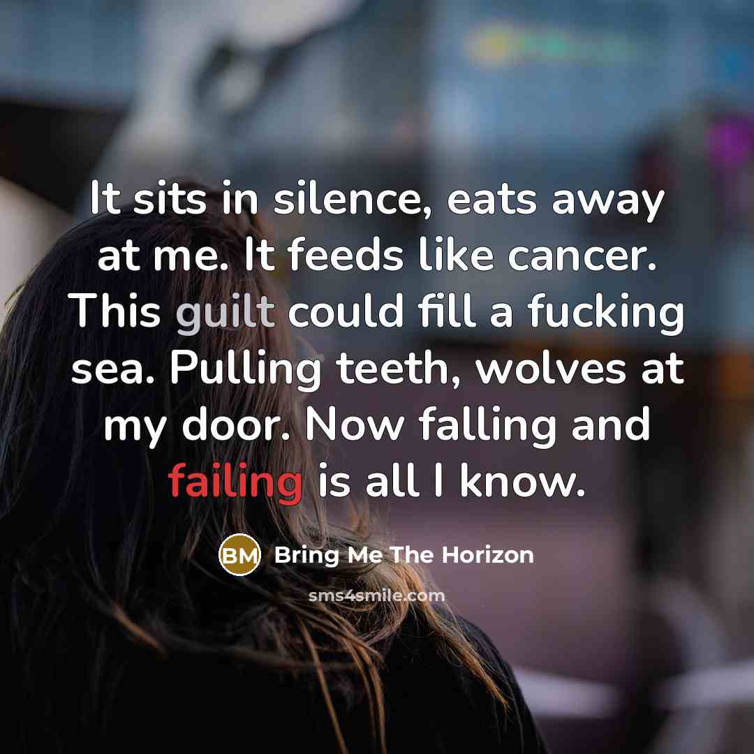 “It sits in silence, eats away at me. It feeds like cancer. This guilt could fill a fucking sea. Pulling teeth, wolves at my door. Now falling and failing is all I know.” quote by Bring Me The Horizon