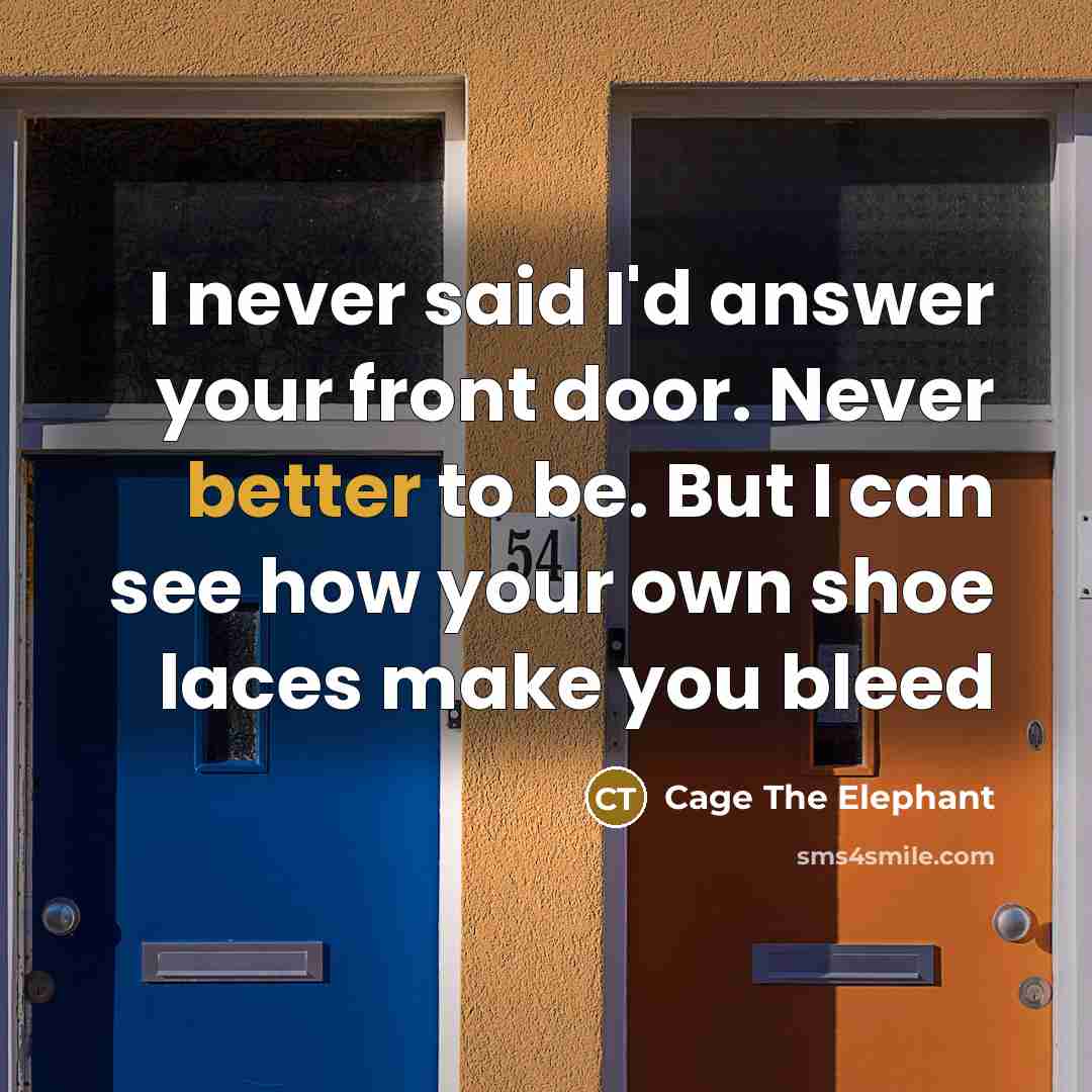 “I never said I'd answer your front door. Never better to be. But I can see how your own shoe laces make you bleed” quote by Cage The Elephant