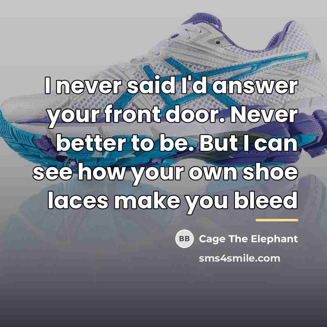 “I never said I'd answer your front door. Never better…” quote by Cage The Elephant