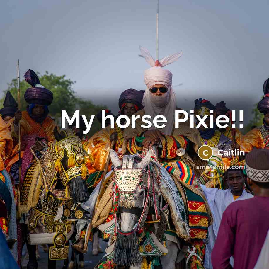 “My horse Pixie!!” quote by Caitlin