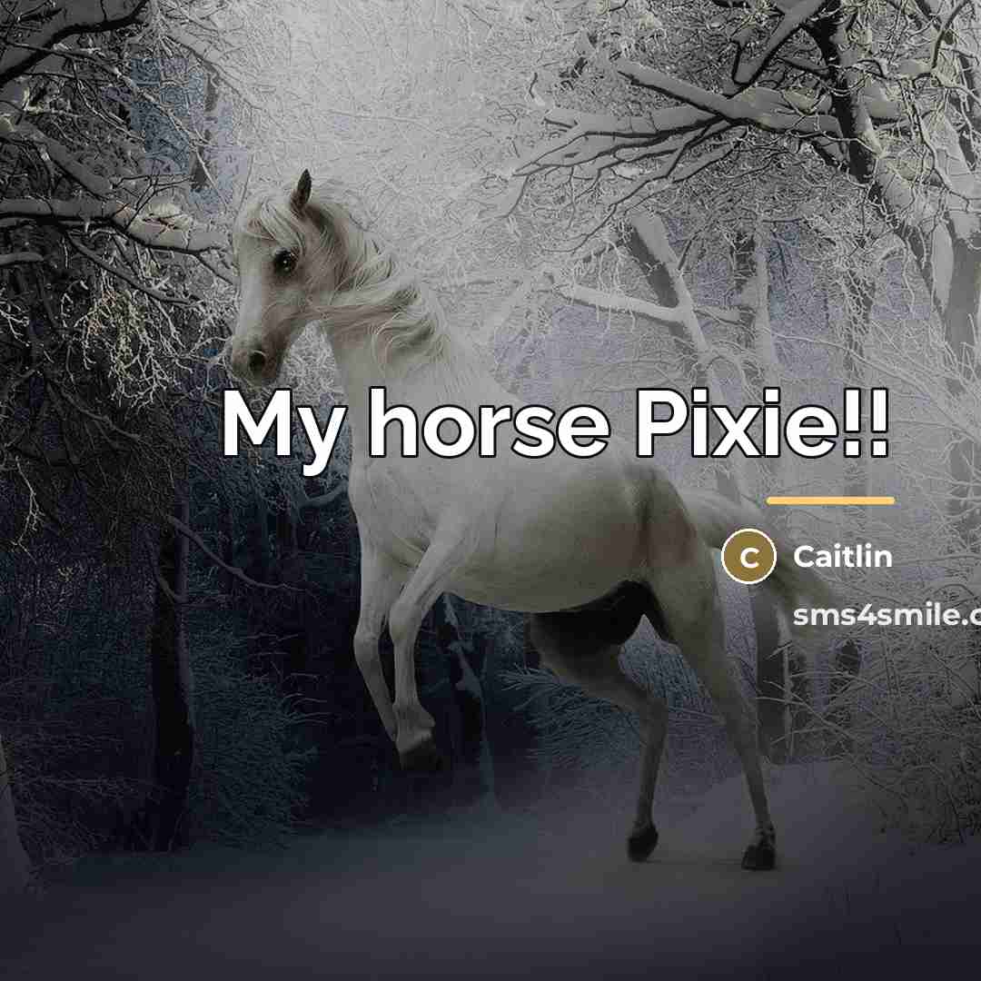 “My horse Pixie!!…” quote by Caitlin