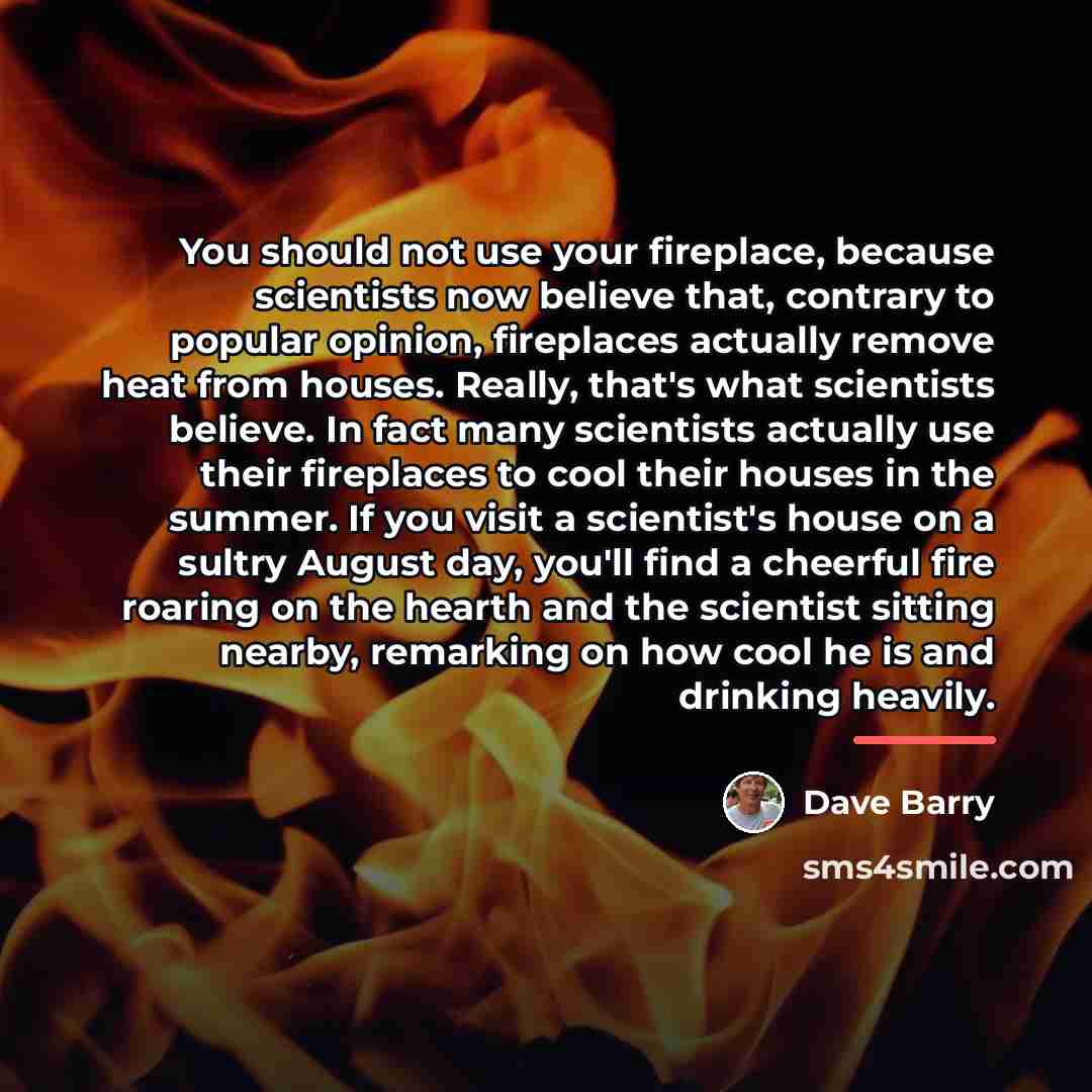 “You should not use your fireplace, because scientists now believe…” quote by Dave Barry