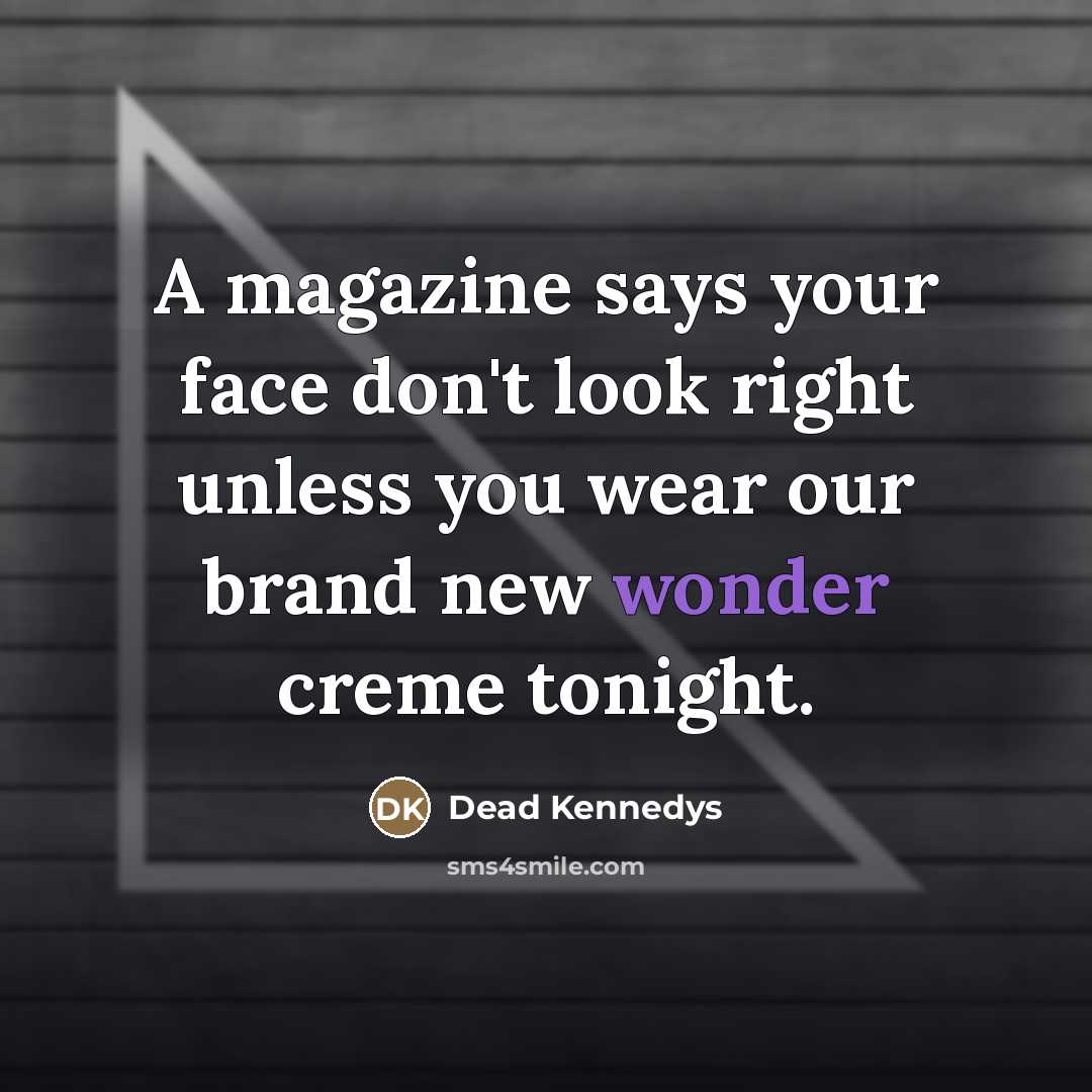“A magazine says your face don't look right unless you…” quote by Dead Kennedys