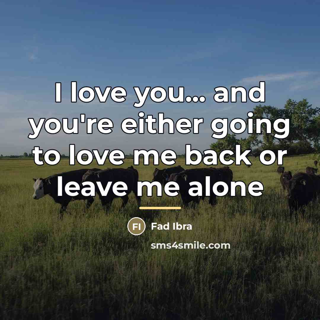 “I love you... and you're either going to love me…” quote by Fad Ibra