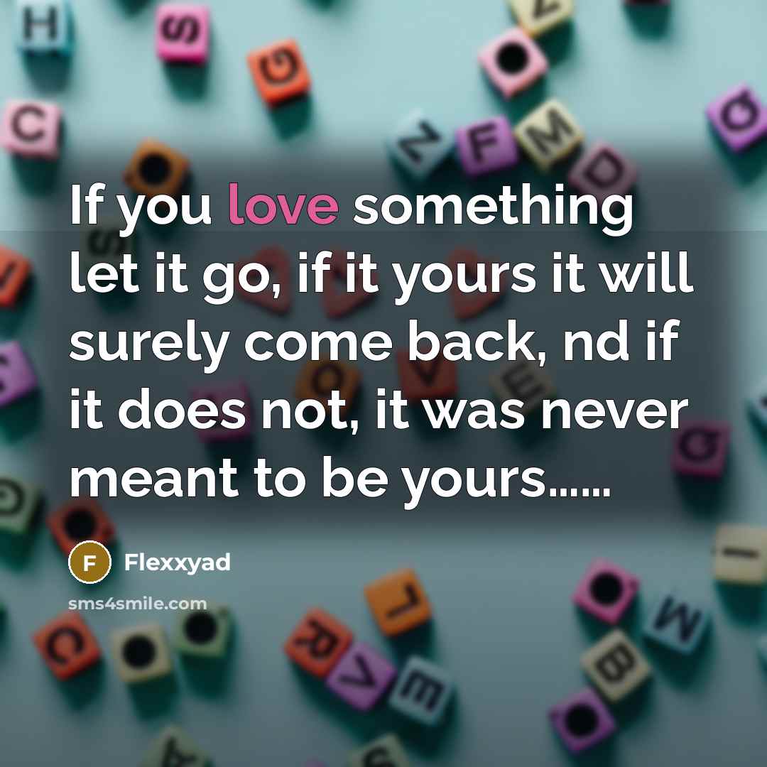 “If you love something let it go, if it yours…” quote by Flexxyad