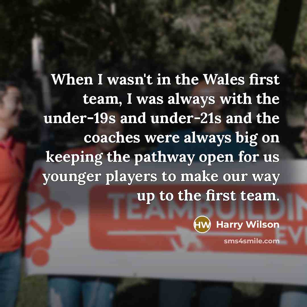 “When I wasn't in the Wales first team, I was…” quote by Harry Wilson